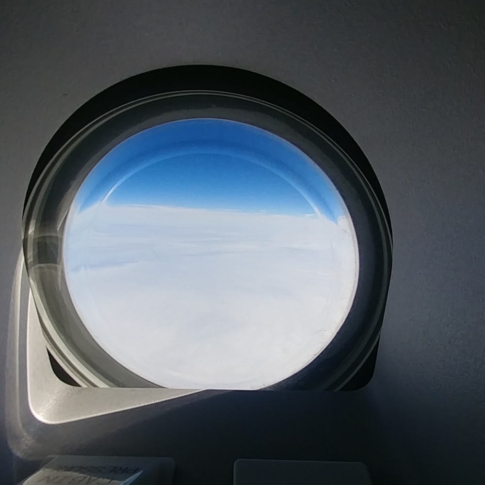 Meet your Posher, Evelyn